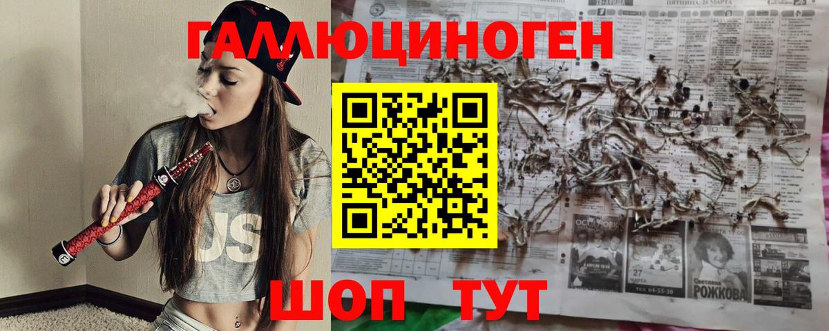 Псилоцибиновые грибы мухоморы Алексин