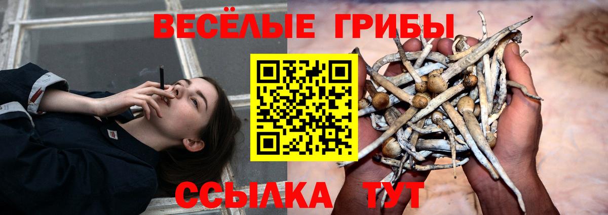 закладка  Галлюциногенные грибы мицелий  Вход с VPN  Алексин 